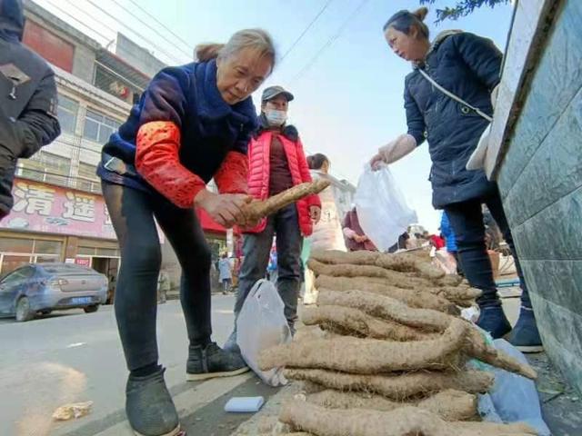 利川团堡：年关山药集市忙