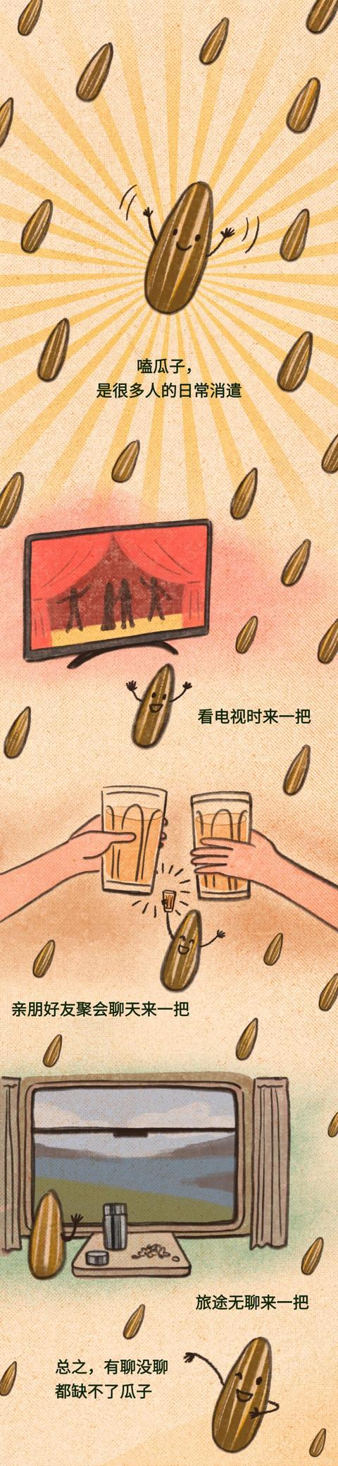 漫画科普：嗑出来的年味，一把一把又一把！