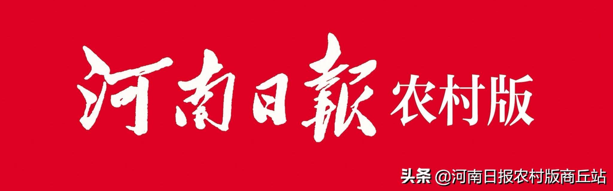 商丘梁园区：打好“四张牌”实现农村人居环境全域“蝶变”