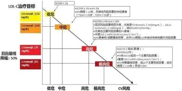 总胆固醇、甘油三酯、LDL-C……全面解读血脂四项！