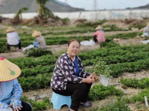 全国首个高油高油酸耐盐碱花生品种面世！灵感来自于一堂课，可专用于加工花生油