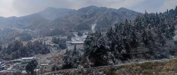 梅花开放，又到植物园“冬之韵”赏花季