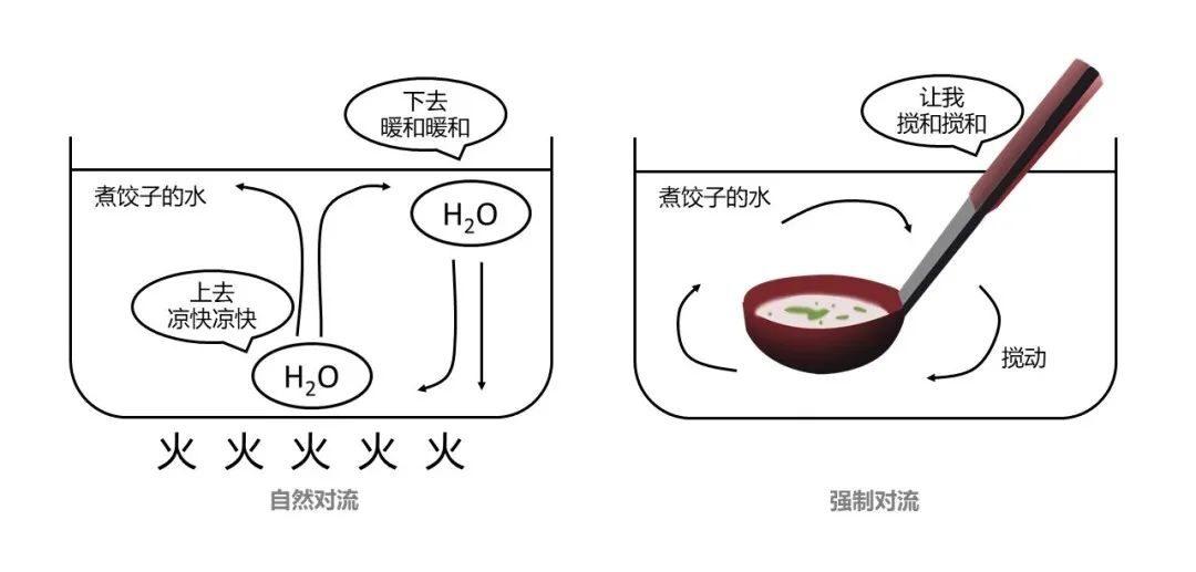 饺子总在锅里“气炸”？也许得补补传热学啦