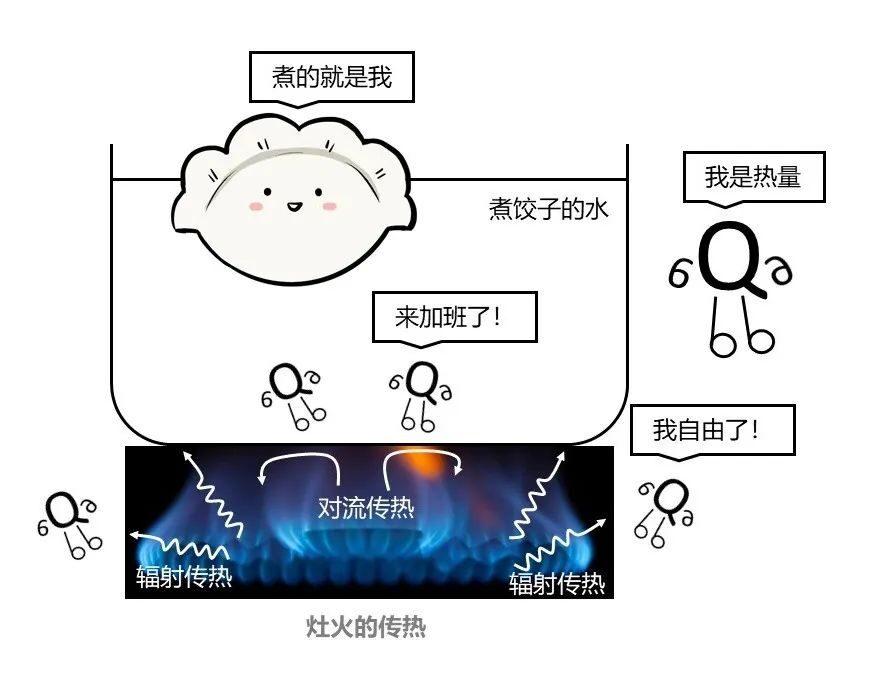 饺子总在锅里“气炸”？也许得补补传热学啦