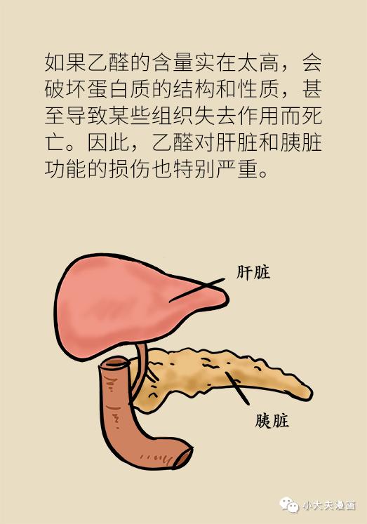 喝酒不上脸，就是酒量大？别让亲友被这话忽悠了