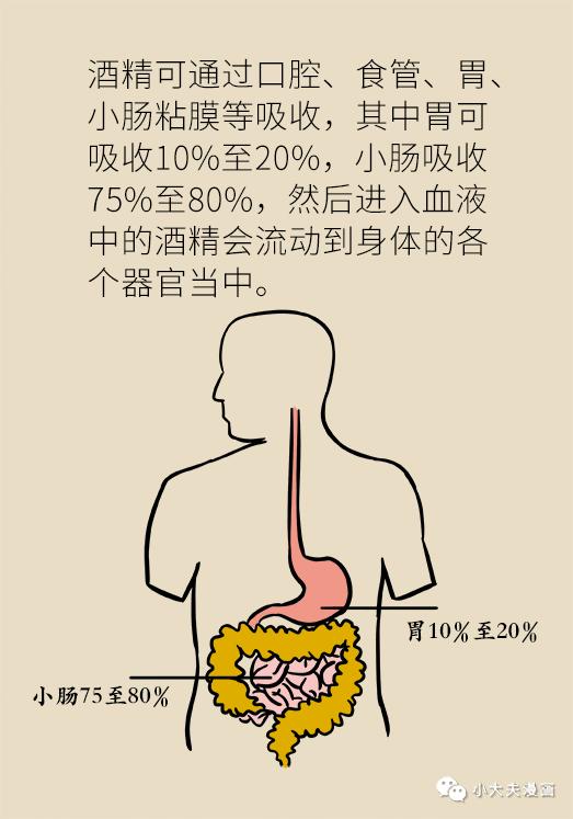 喝酒不上脸，就是酒量大？别让亲友被这话忽悠了