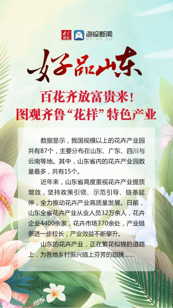 好品山东丨百花齐放富贵来！图观齐鲁“花样”特色产业