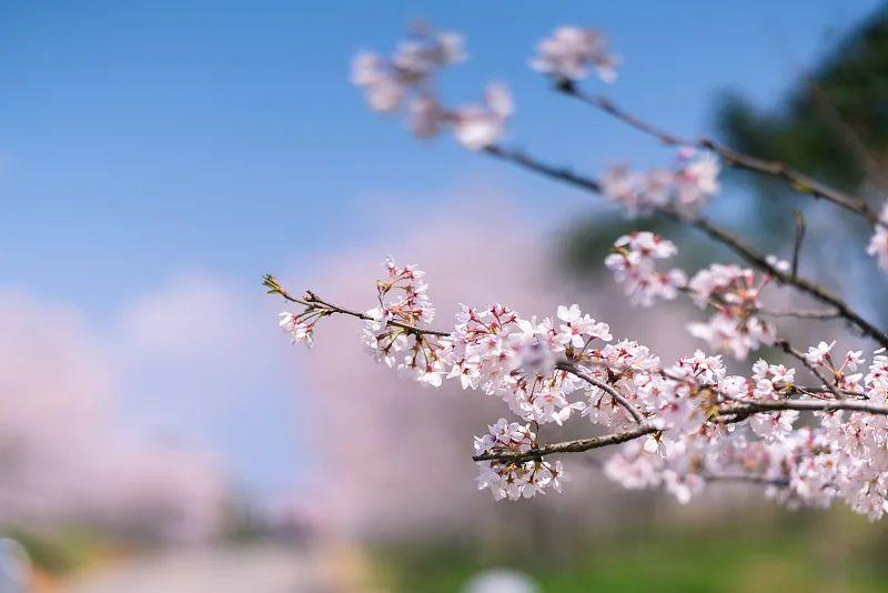 今日立春：一元复始，万象更新！养生要注意→