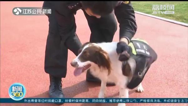 “新春走基层”我和我的警犬“战友”