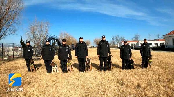 警犬来啦！为了守护你们的安全，“我们”训练超认真的！