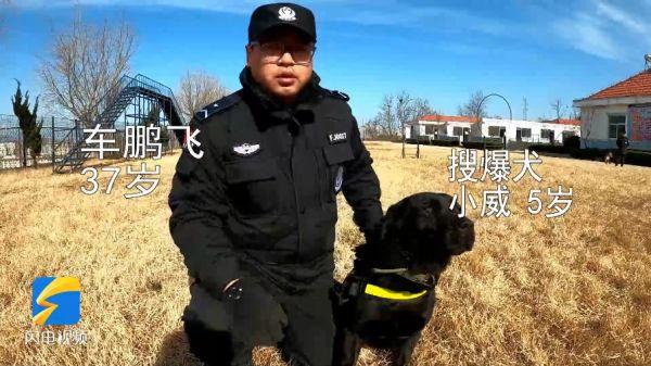 警犬来啦！为了守护你们的安全，“我们”训练超认真的！