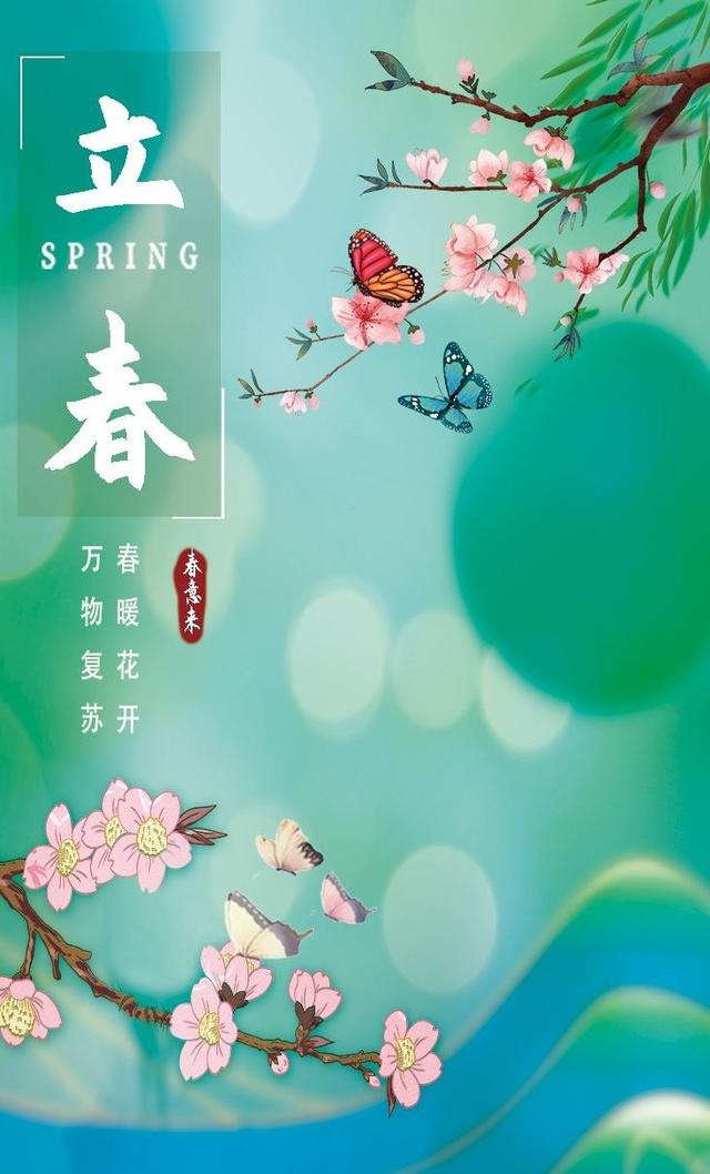 立春丨楚雄花海美成童话，快来赴一场春日赏花宴