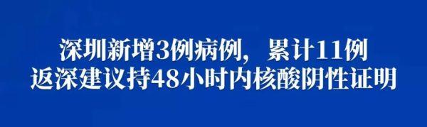 冬奥开幕之夜“纯享版”！中国式浪漫闪耀深圳夜空