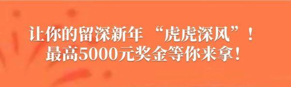 冬奥开幕之夜“纯享版”！中国式浪漫闪耀深圳夜空