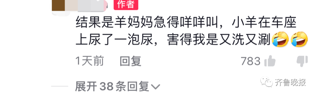 济南一小朋友悄悄抱姥姥家的羊上车,要带回家...网友:做了我不敢做的事?