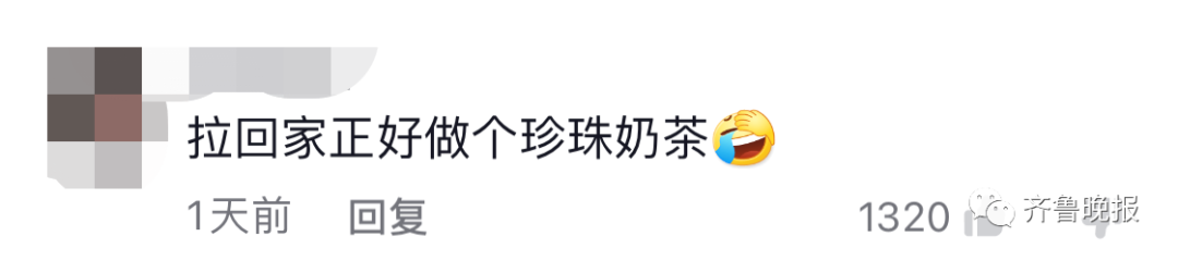 济南一小朋友悄悄抱姥姥家的羊上车,要带回家...网友:做了我不敢做的事?