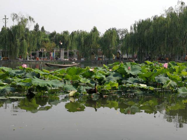 探秘藏在芙蓉街巷子里的正宗鲁菜，济南王府池子四号院