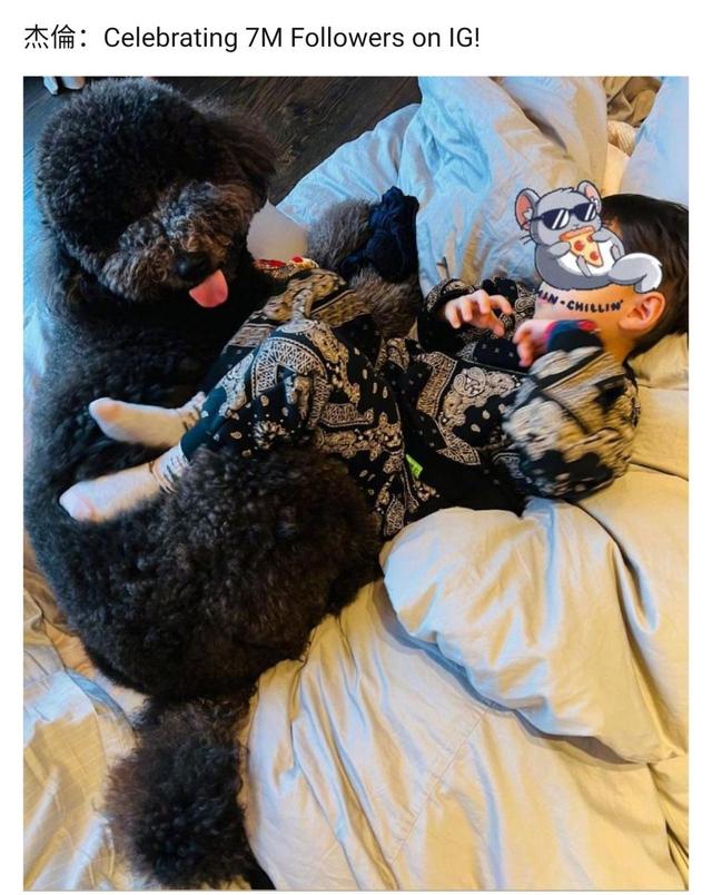 周杰伦晒4岁儿子萌照，头发乌黑浓密一身潮服，和狗狗在床上嬉戏