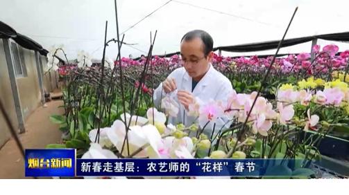 新春走基层：农艺师的“花样”春节