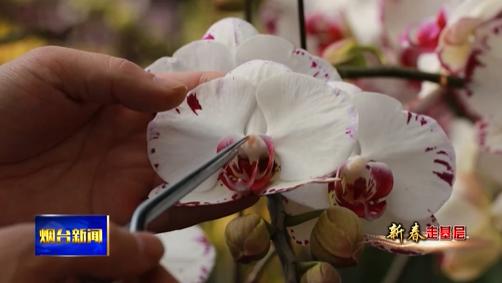 新春走基层：农艺师的“花样”春节