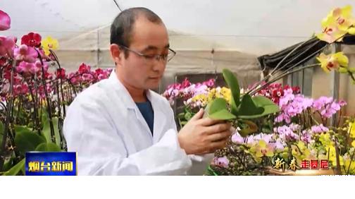 新春走基层：农艺师的“花样”春节