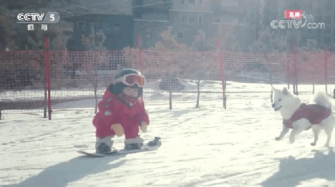 被网友称为真人版“冰墩墩”，冬奥会开幕式上一岁萌娃滑雪实力圈粉！