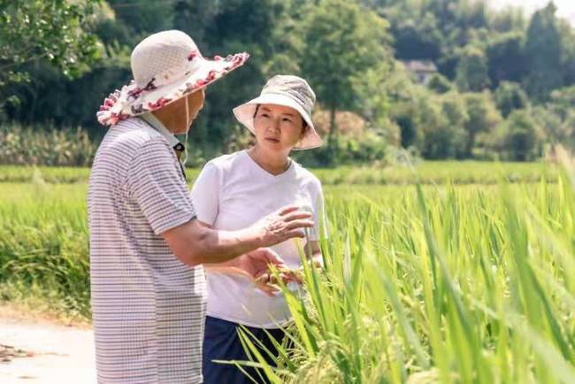 新农人? “田保姆”蒋丽英：把家乡打造成现代农业示范村 让农民当“甩手掌柜”