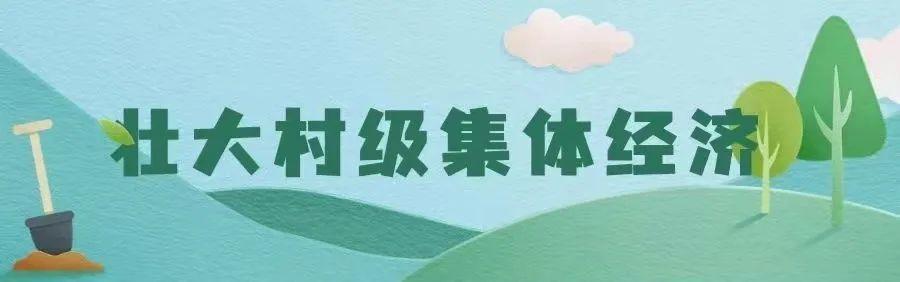 集体经济壮了，村民腰包鼓了！看清徐成子村的致富经