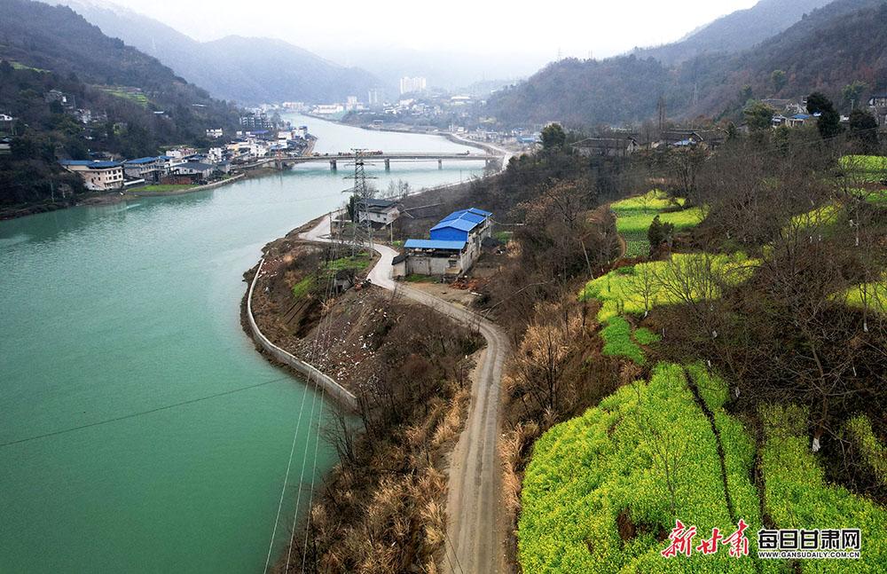 田园画卷添新景 茶乡春色醉人间 文县碧口镇的油菜花开了