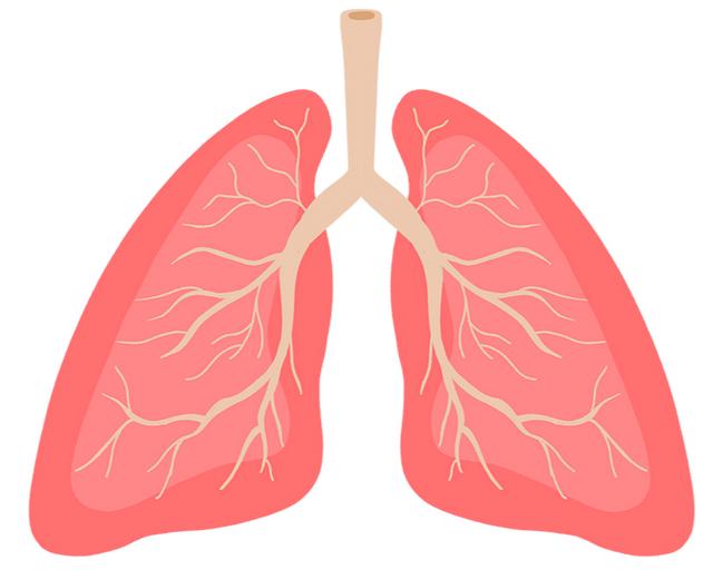 广西疾控2月健康提醒：健康生活从预防开始