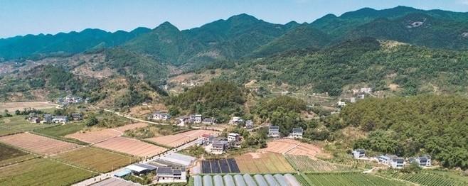 璧山 乡村振兴强基础 打造城乡融合新范例