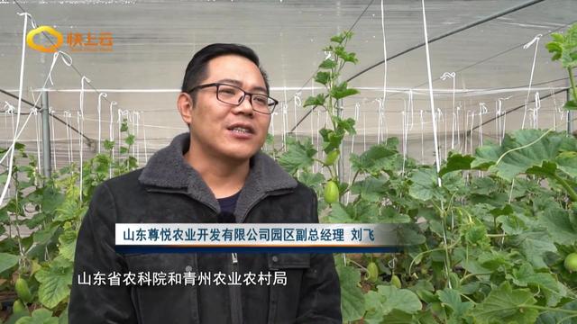 产业化种植助农增收迎来开门红