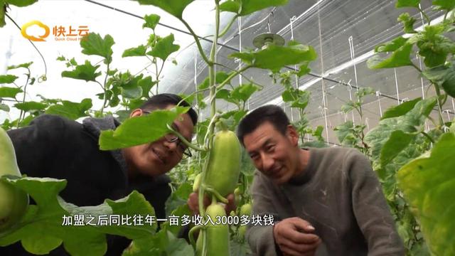 产业化种植助农增收迎来开门红