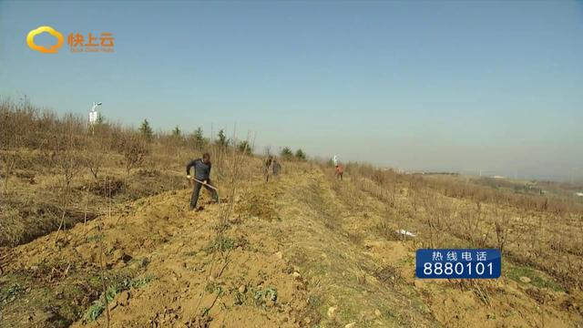 产业化种植助农增收迎来开门红