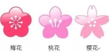 福州多地绽放！是梅花？桃花？还是樱花？