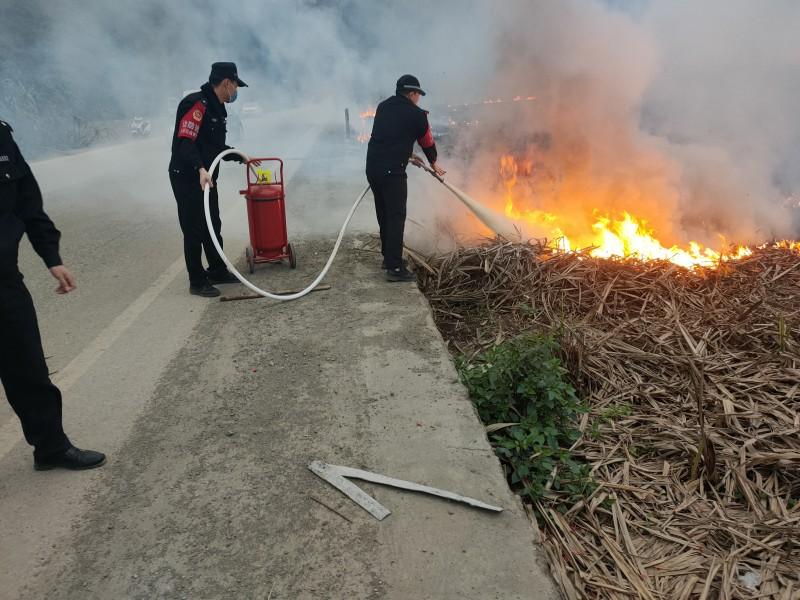 甘蔗地突发大火，移民管理警察奋力灭火