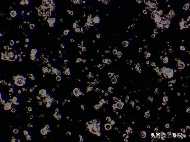 冬奥会的雪是怎么来的？上海理工大学这个团队用科技“法宝”助力