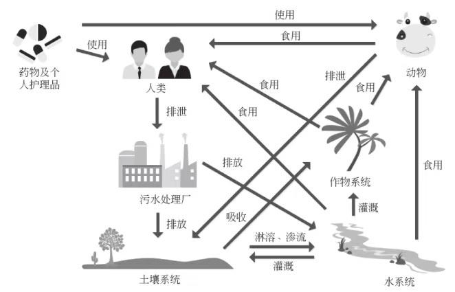 过期乳液属于干垃圾还是湿垃圾？过期药品扔在哪里？