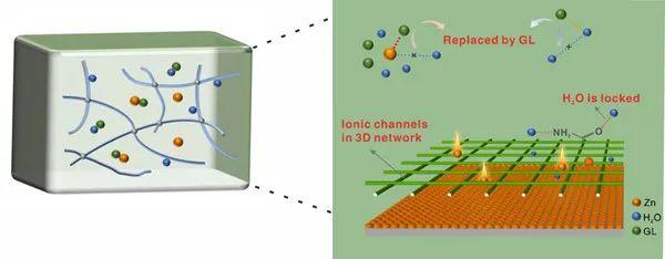科研人员开发出宽温区无枝晶水系锌离子电池用键调节水凝胶