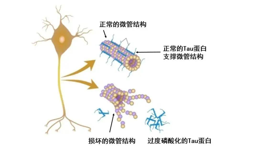 好书·推荐｜给正在胡吃海喝的你——家庭健康和法律小锦囊