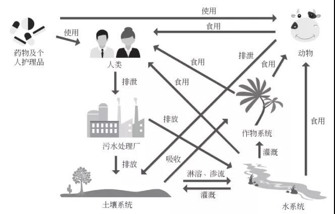 【科普】过期的药品和化妆品，你都扔对了吗？