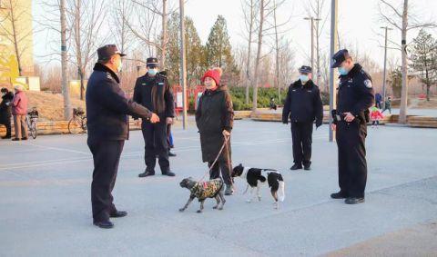 让文明养犬成为一道靓丽风景线 这个街道新增文明养犬提示牌