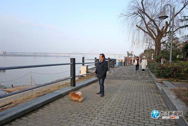 「文明旅游」景区遛狗牵好绳，安全又文明