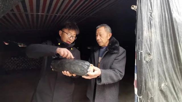 德阳唯一！入选粤港澳大湾区“菜篮子”生产基地→