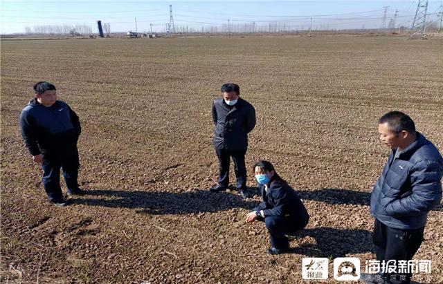 东营区龙居镇：春耕春种农事忙 抢抓农时盼丰年