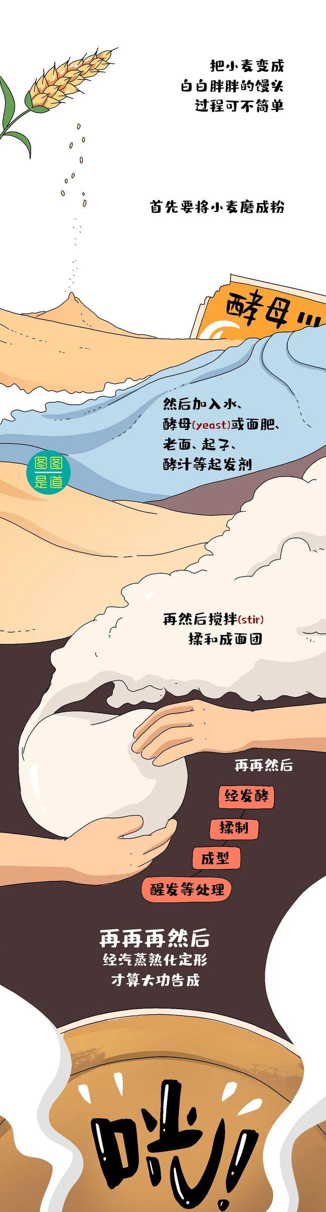 面条和馒头，吃哪个更容易胖？丨图图是道