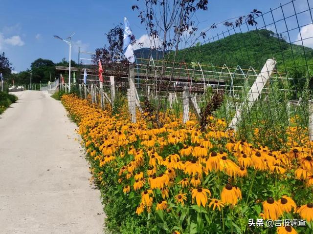 通化市二道江区五道江村“恒成农业公司”让山坡荒地开出“希望之花”