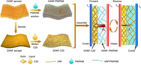科研人员提出气凝胶薄膜限域相变流体构筑柔性热二极管策略