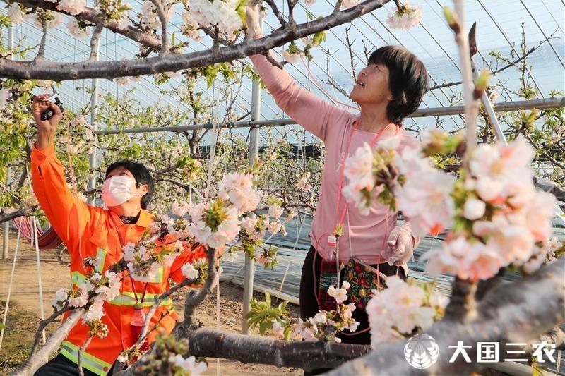 山东东营：积极投入春管生产 为增产增收打基础