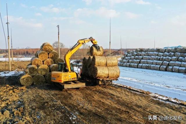 【百日攻坚进行时】我市掀起秸秆离田热潮